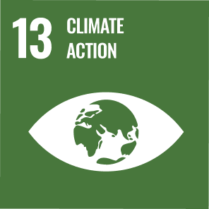 13 - climate action