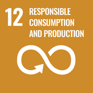 12 - responsible consumption and production